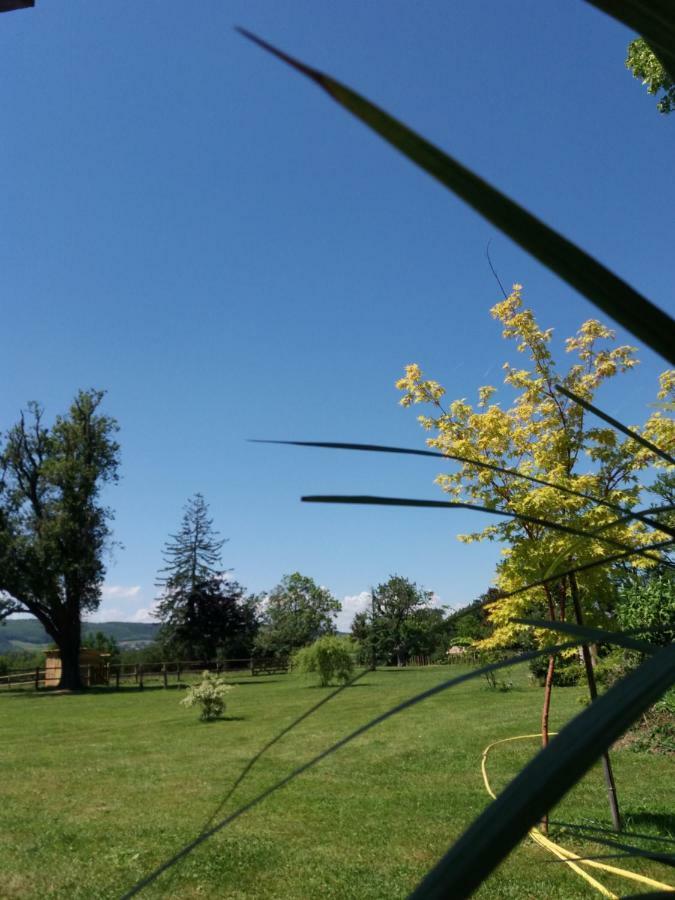 Luxuszelt Aligote